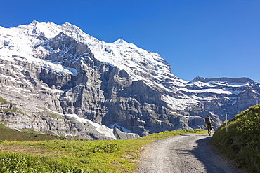 Hiker on the path between green meadows and snowy peaks, Wengernalp, Wengen, Bernese Oberland, Canton of Bern, Switzerland, Europe