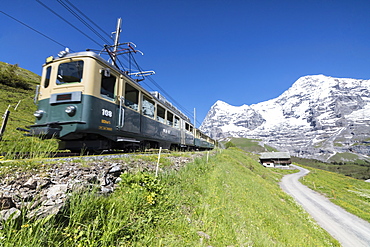 The Wengernalpbahn rack railway runs across meadows and snowy peaks, Wengen, Bernese Oberland, Canton of Bern, Switzerland, Europe