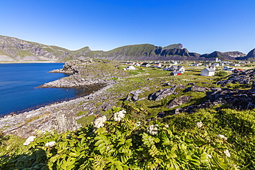 Green meadows frame the village of Sorland surrounded by sea, Vaeroy Island, Nordland county, Lofoten archipelago, Norway, Scandinavia, Europe