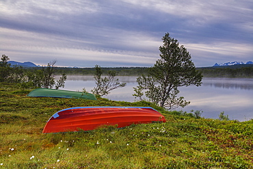 Boats on green meadows frame the calm water at night, Bogen, Evenes, Ofotfjorden, Nordland, Norway, Scandinavia, Europe