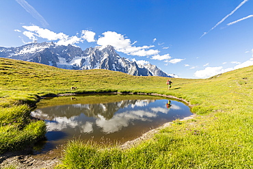 Hiker with dog admires the peaks of Mont De La Saxe reflected in water, Courmayeur, Aosta Valley, Italy, Europe