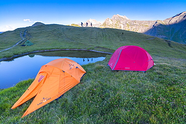 Camping tents and hikers with Mont De La Saxe on the background, Courmayeur, Aosta Valley, Italy, Europe