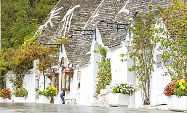 The traditional huts called Trulli built with dry stone with a conical roof, Alberobello, UNESCO World Heritage Site, Province of Bari, Apulia, Italy, Europe