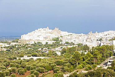 View of typical architecture and white houses of the old medieval town, Ostuni, Province of Brindisi, Apulia, Italy, Europe