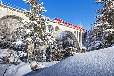 The red train on viaduct surrounded by snowy woods, Cinuos-Chel, Canton of Graubunden, Engadine, Switzerland, Europe