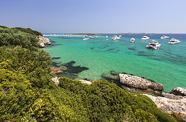 Green vegetation of the inland frames the speed boats moored in the crystal sea, Sperone, Bonifacio, South Corsica, France, Mediterranean, Europe