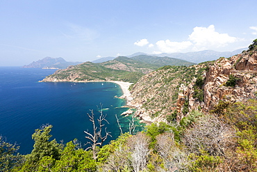 Top view of turquoise sea and sandy beach framed by green vegetation on the promontory, Porto, Southern Corsica, France, Mediterranean, Europe