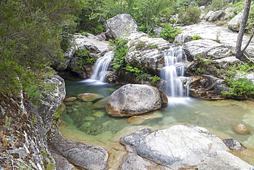 View of the Purcaraccia waterfalls and natural pools in summer, Punta di Malanda, Bavella Mountains, Quenza, Corsica, France, Europe