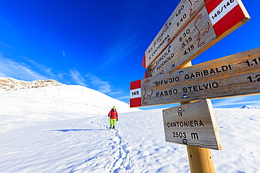 Hiker with snowshoe proceeds on the path covered with snow, Braulio Valley, Valtellina, Lombardy, Italy, Europe