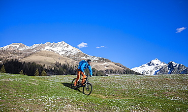 Mountain bike on green meadows covered by crocus in bloom, Albaredo Valley, Orobie Alps, Valtellina, Lombardy, Italy, Europe