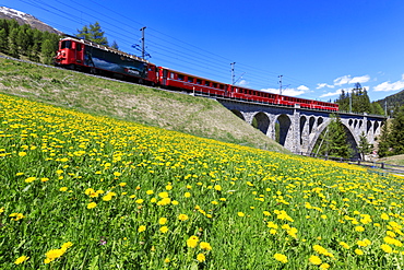 Bernina Express train on Cinuos-chel Viadukt in spring, St. Moritz, Majola, Canton of Graubunden, Switzerland, Europe