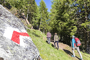 Hikers on path called Sentiero del Carbonaio, San Romerio Alp, Brusio, Poschiavo Valley, Canton of Graubunden, Switzerland, Europe