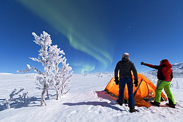 Hikers outside tent look at the Northern Lights (Aurora Borealis), Abisko, Kiruna Municipality, Norrbotten County, Lapland, Sweden, Scandinavia, Europe