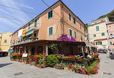 Typical restaurant in the old town of Porto Azzurro, Elba Island, Livorno Province, Tuscany, Italy, Europe