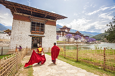 Two monks dressed in traditional red access the Punakha Dzong a former monastery in the town of Punakha, Bhutan, Asia