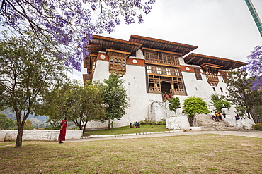 The garden at the entrance of the Punakha Dzong where there are trees of different species, Bhutan, Asia