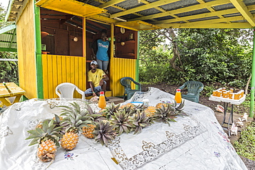 Two guys selling pineapple and products such as pulp and juice at a kiosk at the side of the Big Tree Drive, Antigua, Leeward Islands, West Indies, Caribbean, Central America