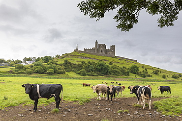 The Celtic cathedral Rock of Cashel, Tipperary, Munster, Republic of Ireland, Europe