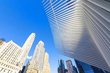 The Oculus Building by Santiago Calatrava, One World Trade Center, Lower Manhattan, New York City, United States of America, North America