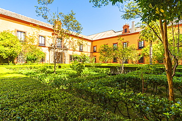 Lush gardens and hedges in the courtyards and outdoor areas of the Real Alcazar, UNESCO World Heritage Site, Seville, Andalusia, Spain, Europe