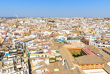 Roofs and typical buildings of the city from the bell tower of Giralda, icon of Seville, Andalusia, Spain, Europe