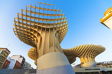 Reticular shapes of giant mushrooms of Metropol Parasol (Setas de Sevilla), Plaza de la Encarnacion, Seville, Andalusia, Spain, Europe