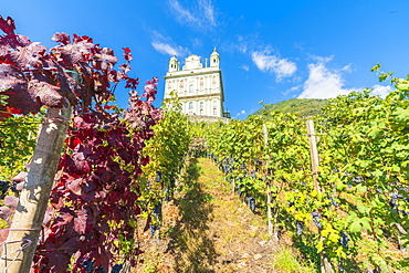 Sanctuary Santa Casa di Loreto surrounded by vineyards, Tresivio, Sondrio province, Valtellina, Lombardy, Italy, Europe