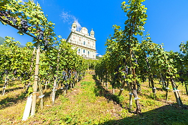 Sanctuary Santa Casa di Loreto surrounded by vineyards, Tresivio, Sondrio province, Valtellina, Lombardy, Italy, Europe