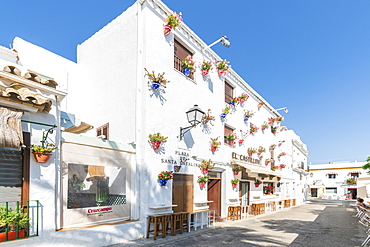 Building with hanging flower pots in Conil de la Frontera, Costa de la Luz, Cadiz Province, Andalusia, Spain, Europe