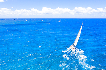 Sailing boats in the blue sea during a competition, Antigua, Leeward Islands, West Indies, Caribbean, Central America