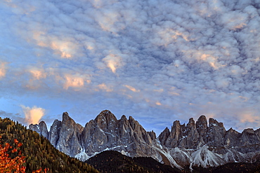 View of  the Odle Mountains from St. Magdalena village in autumn, Val di Fune, South Tyrol, Dolomites, Italy, Europe