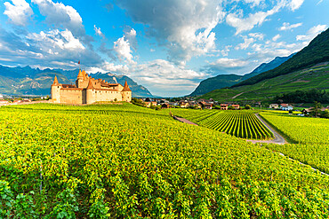 Castle of Aigle set in rolling hills of vineyards, canton of Vaud, Switzerland, Europe