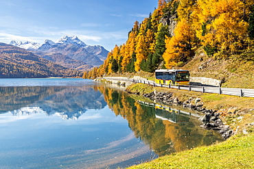 Yellow bus travelling on shores of Lake Silvaplana in autumn, St. Moritz, Engadine, canton of Graubunden, Switzerland, Europe