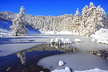 Snow covered trees reflected in the Casera Lake, Livrio Valley, Orobie Alps, Valtellina, Lombardy, Italy, Europe