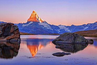 Pink sky at sunrise on the Matterhorn reflected in Stellisee, Zermatt, Canton of Valais, Pennine Alps, Swiss Alps, Switzerland, Europe