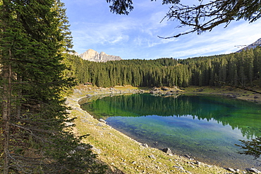 Trees reflected in the green waters of Lake Carezza, Catinaccio Group, Ega Valley, South Tyrol Trentino-Alto Adige, Dolomites, Italy, Europe