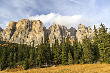 Colorful woods in autumn at Sella Pass, Fassa Valley, Trentino-Alto Adige, Dolomites, Italy, Europe