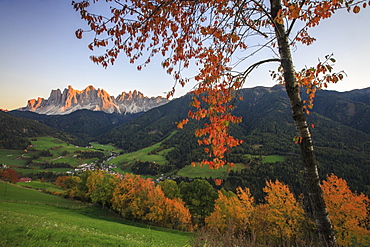 Colorful autumn trees frame the group of Odle and the village of St. Magdalena, Funes Valley, South Tyrol, Dolomites, Italy, Europe