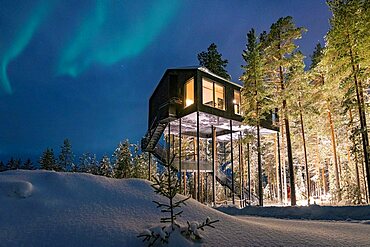 Northern Lights over the wood cottage set among trees in the snow, Tree hotel, Harads, Lapland, Sweden