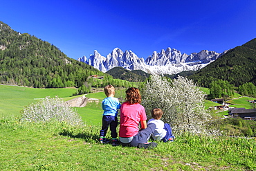 Family on green meadows admires the flowering trees at the foot of Odle, Funes Valley, South Tyrol, Dolomites, Italy, Europe