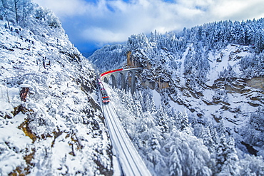 Bernina Express passes through the snowy woods around Filisur, Canton of Grisons (Graubunden), Switzerland, Europe