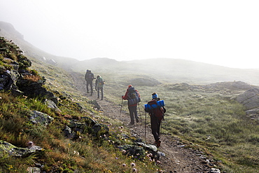 Hikers in the misty landscape at dawn, Minor Valley, High Valtellina, Livigno, Lombardy, Italy, Europe