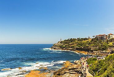 Bondi Coast, Sydney, New South Wales, Australia, Pacific