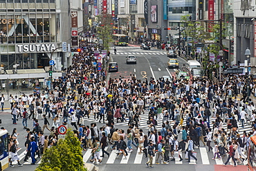 Shibuya crossing, the busiest road crossing in the world, Tokyo, Japan, Asia