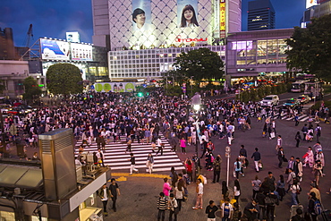 Shibuya crossing, the busiest road crossing in the world, Tokyo, Japan, Asia