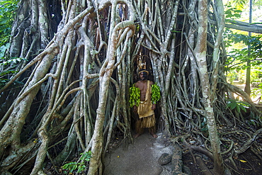 Traditional dressed man standing in a giant banyon tree, Ekasup Cultural Village, Efate, Vanuatu, Pacific