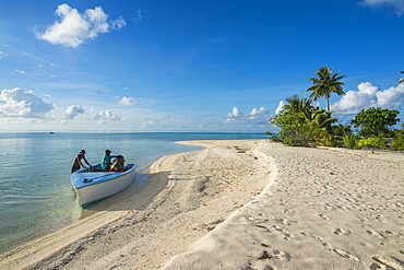 Beautiful palm fringed white sand beach in the turquoise waters of Tikehau, Tuamotus, French Polynesia, Pacific