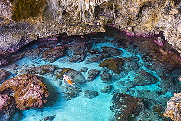 Tourists swimming in the amazing Avaiki rock tide pools Niue, South Pacific, Pacific