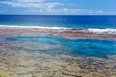 People swimming in the amazing Limu low tide pools, Niue, South Pacific, Pacific