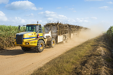 Full loaded sugar cane truck driving through the sugar cane fields on a dusty road, Nchalo. Malawi, Africa